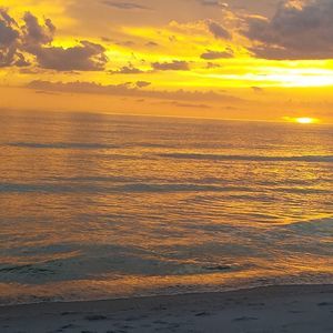 Meet your Posher, Judie